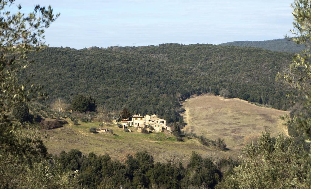 Ferienwohnung Casa Ollie Castel San Gimignano Exterior foto