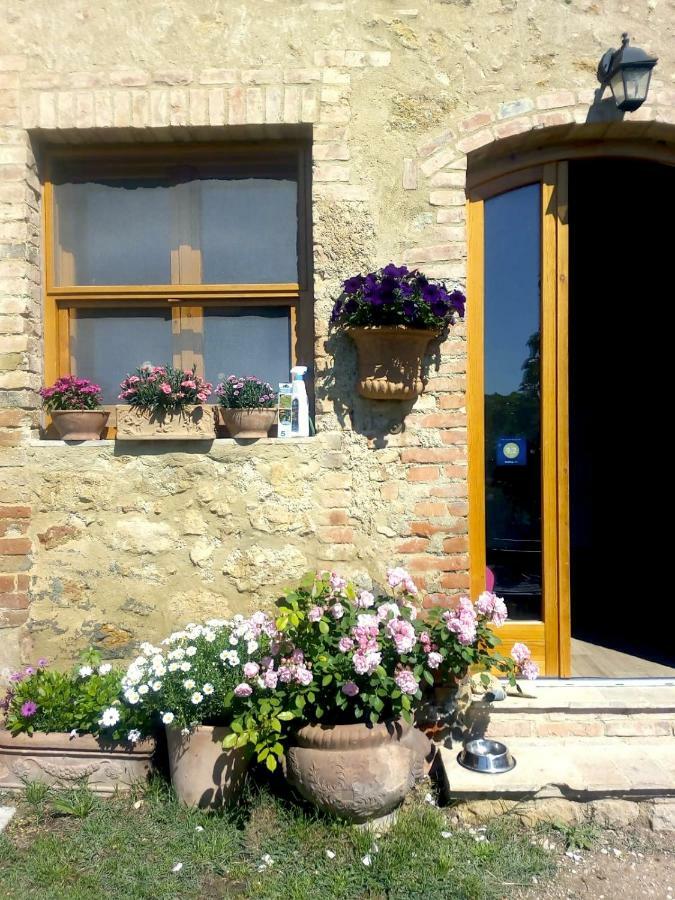 Ferienwohnung Casa Ollie Castel San Gimignano Exterior foto